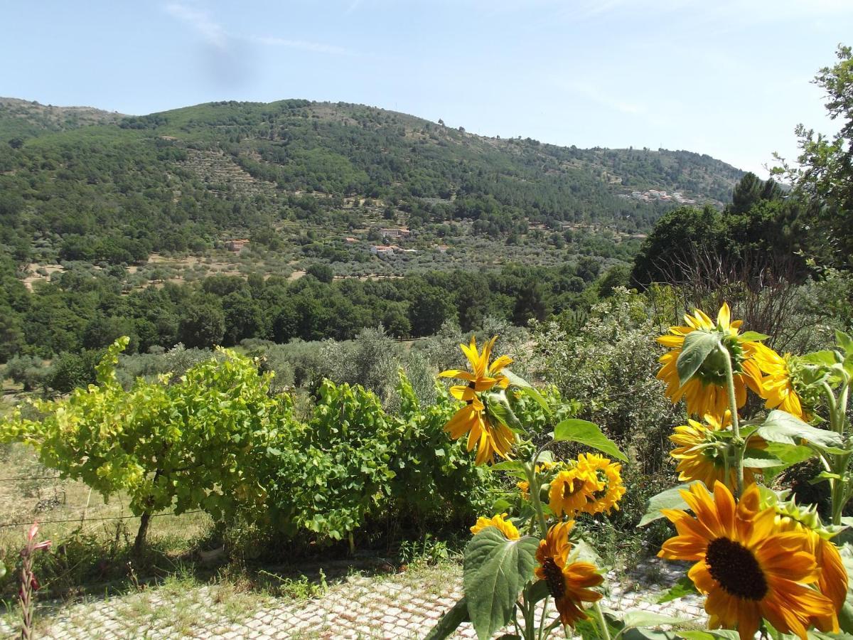 Quinta Do Pina Apartman Guarda Kültér fotó