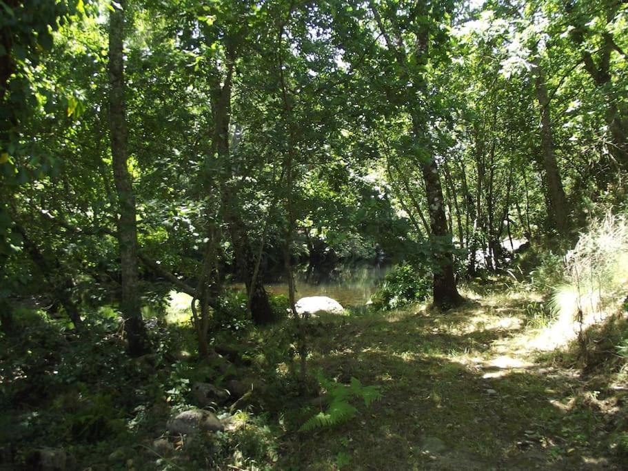 Quinta Do Pina Apartman Guarda Kültér fotó