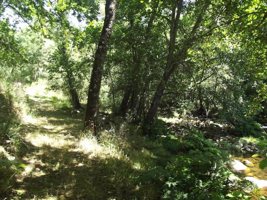 Quinta Do Pina Apartman Guarda Kültér fotó